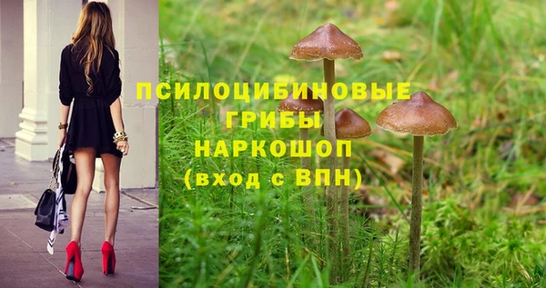 бутират Пролетарск