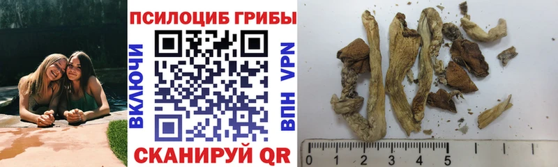 Галлюциногенные грибы ЛСД Белогорск